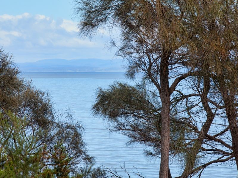 111 Esplanade, Coles Bay TAS 7215