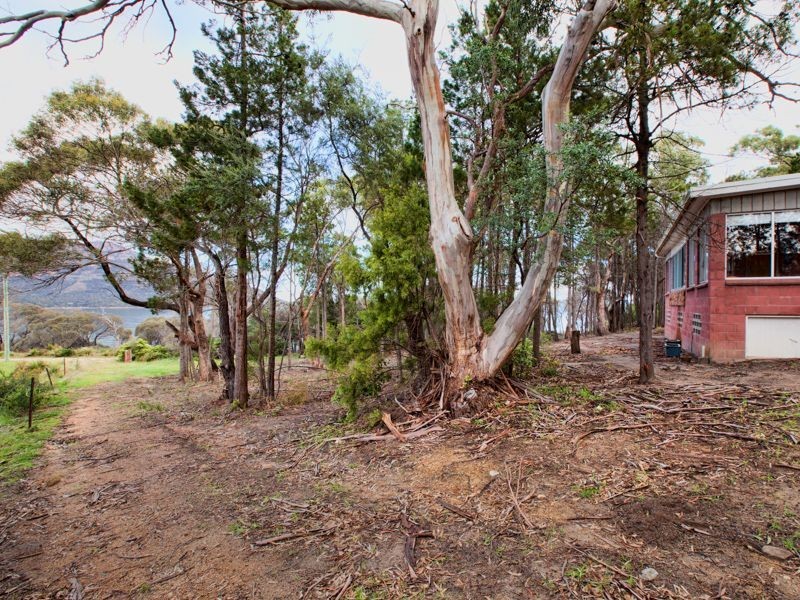 111 Esplanade, Coles Bay TAS 7215