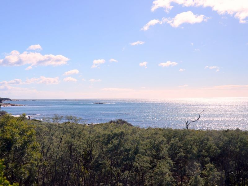 119 Harveys Farm Road, Bicheno TAS 7215