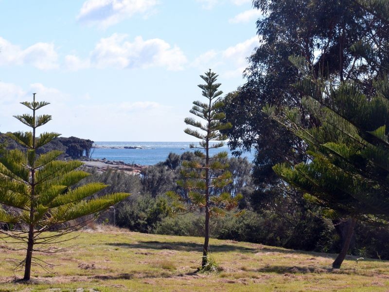 119 Harveys Farm Road, Bicheno TAS 7215