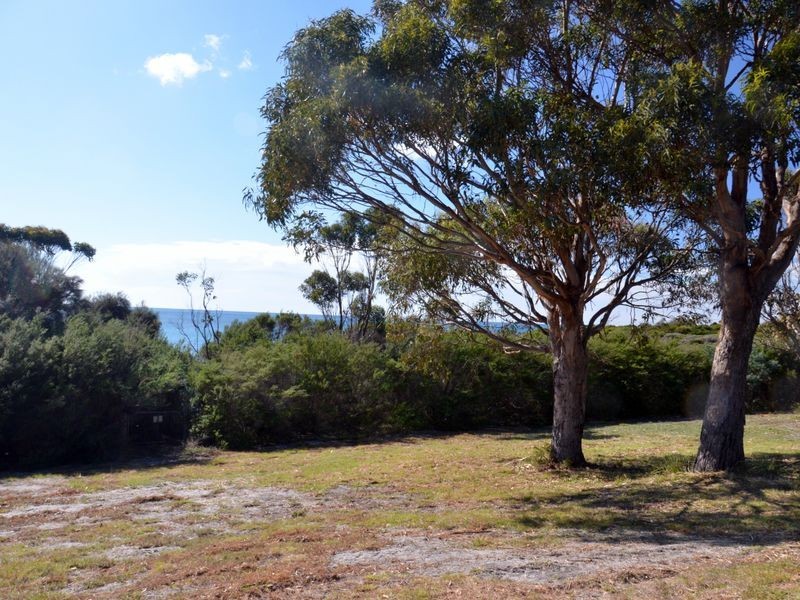 119 Harveys Farm Road, Bicheno TAS 7215