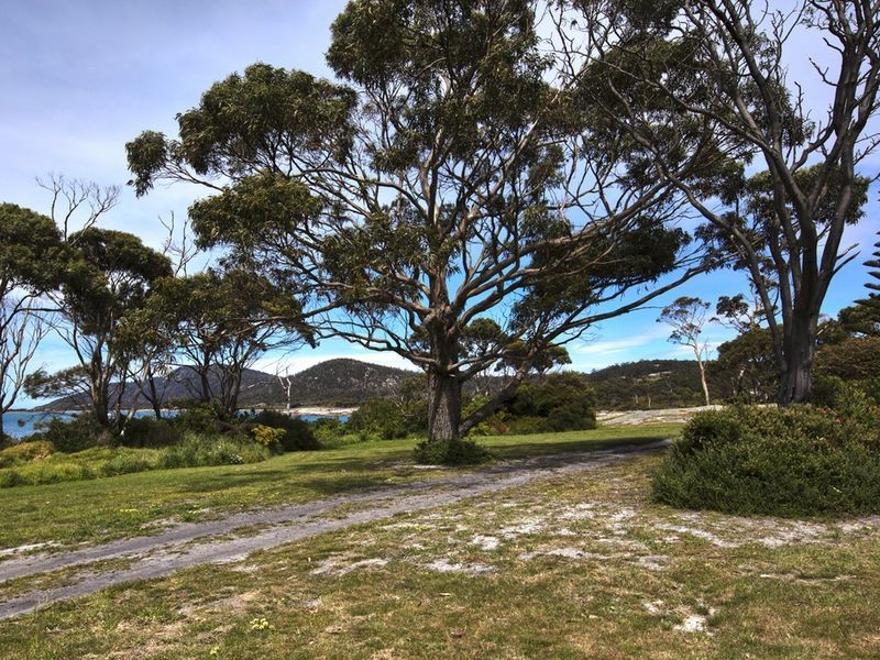31 Weily Avenue, Bicheno TAS 7215