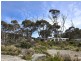 31 Weily Avenue, Bicheno TAS 7215