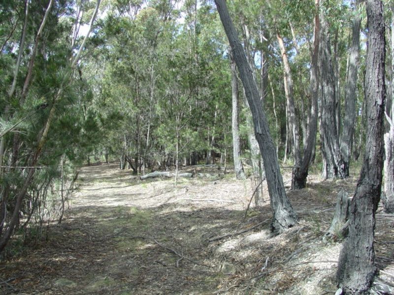 69 Suncoast Drive, Bicheno TAS 7215