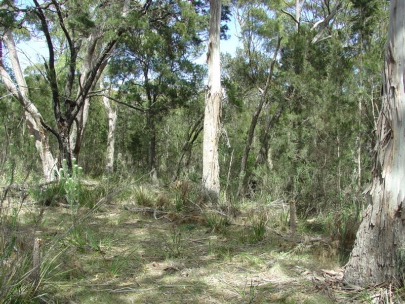 69 Suncoast Drive, Bicheno TAS 7215