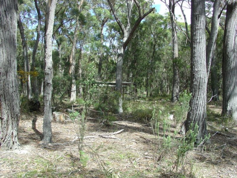 69 Suncoast Drive, Bicheno TAS 7215