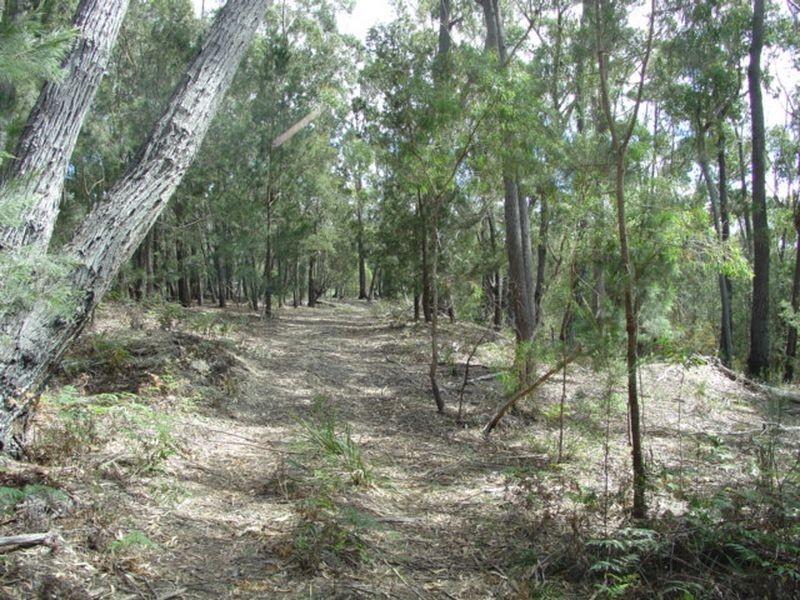 69 Suncoast Drive, Bicheno TAS 7215