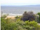 145 Swanwick Drive, Coles Bay TAS 7215