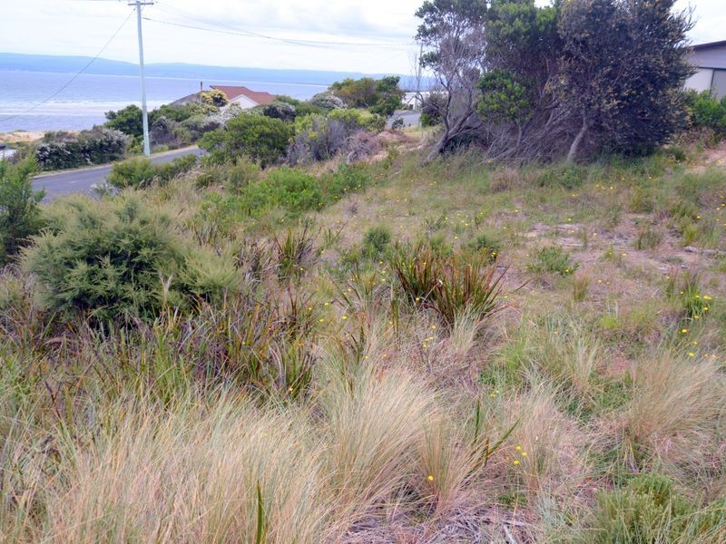 145 Swanwick Drive, Coles Bay TAS 7215