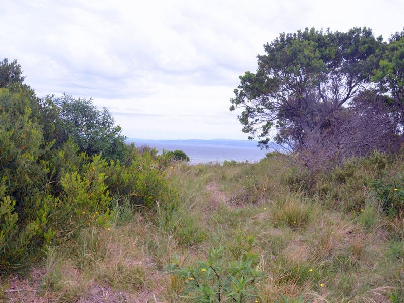 145 Swanwick Drive, Coles Bay TAS 7215