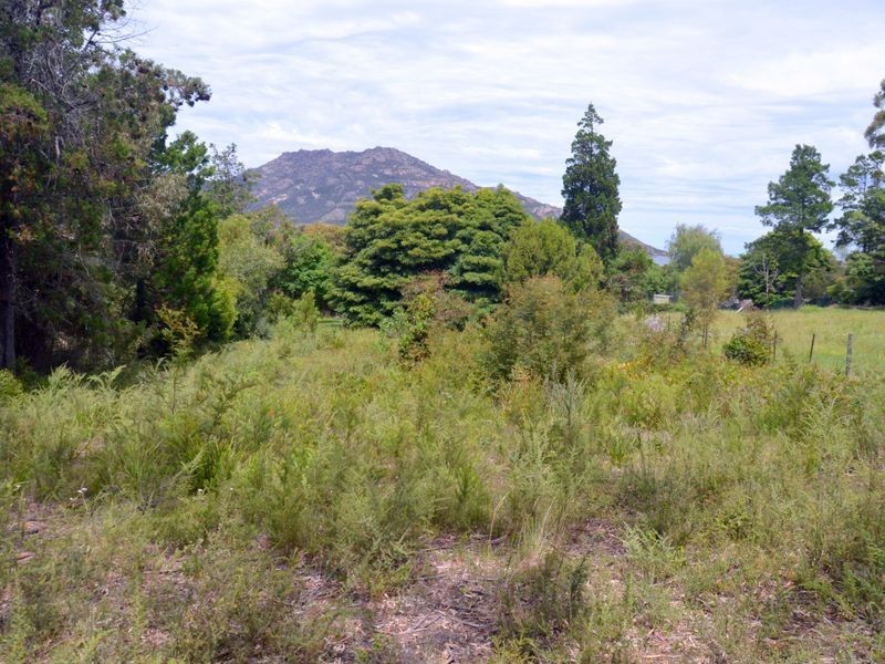 LOT 2/95 ESPLANADE, Coles Bay TAS 7215