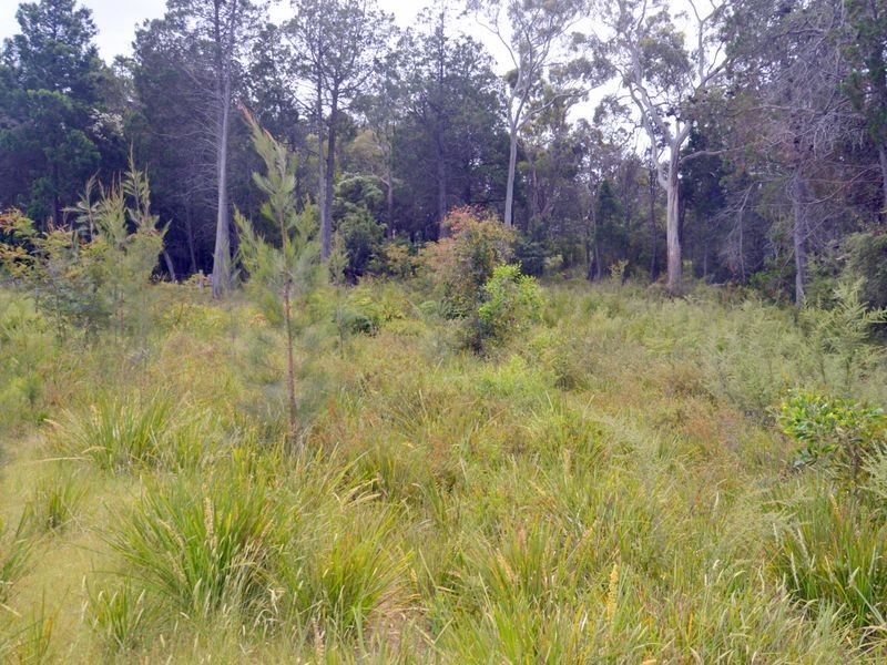LOT 2/95 ESPLANADE, Coles Bay TAS 7215