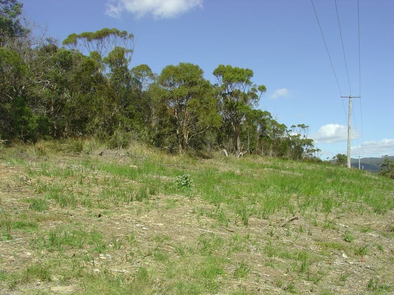 18127 Tasman Highway, Bicheno TAS 7215