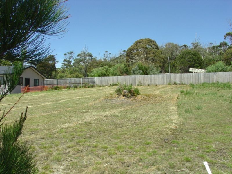 16 Wallace Avenue, Bicheno TAS 7215