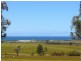 19595 Tasman Highway, Seymour TAS 7215