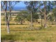 19595 Tasman Highway, Seymour TAS 7215