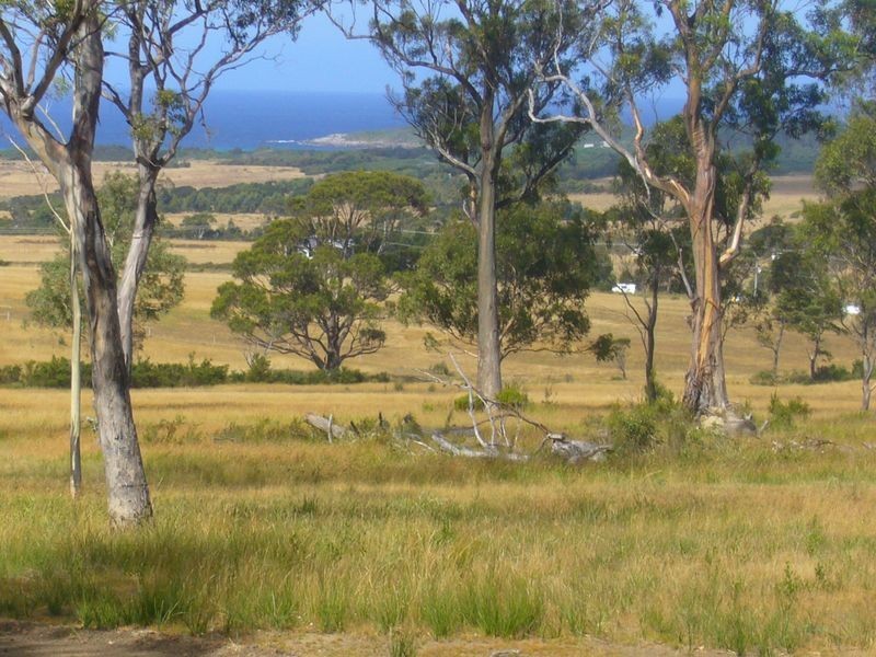 19595 Tasman Highway, Seymour TAS 7215