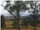 19595 Tasman Highway, Seymour TAS 7215