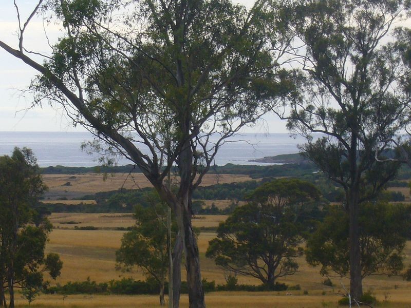 19595 Tasman Highway, Seymour TAS 7215