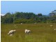 19595 Tasman Highway, Seymour TAS 7215