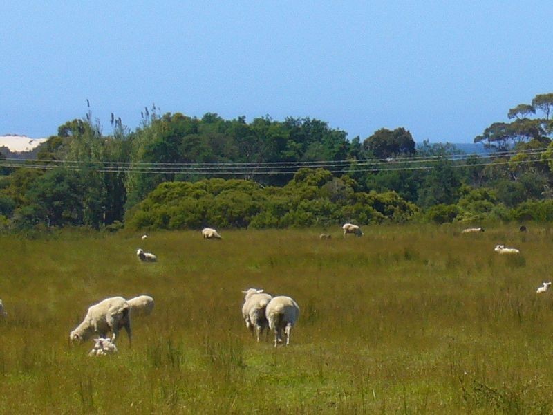 19595 Tasman Highway, Seymour TAS 7215
