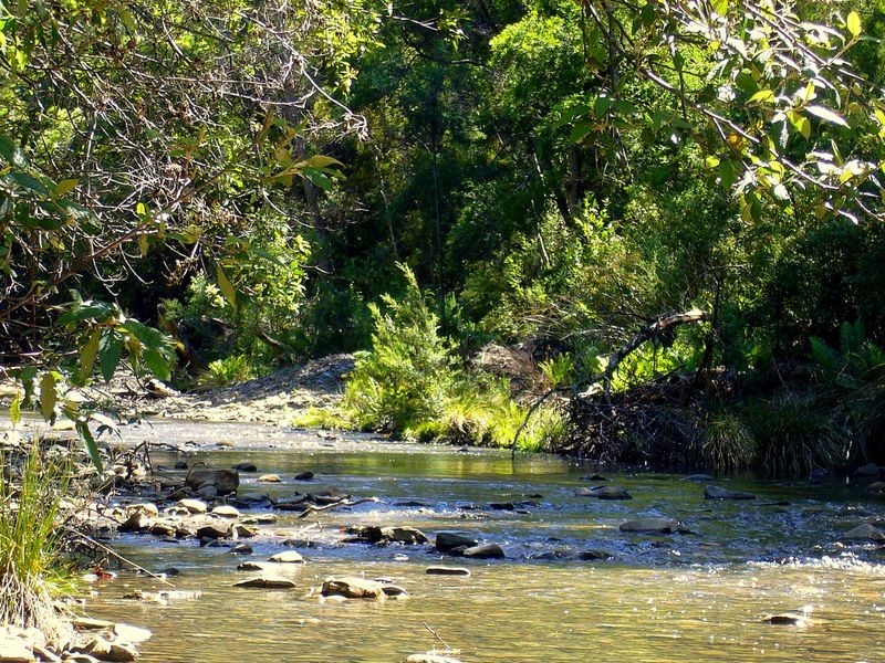 19595 Tasman Highway, Seymour TAS 7215