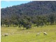 19595 Tasman Highway, Seymour TAS 7215