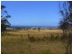19595 Tasman Highway, Seymour TAS 7215