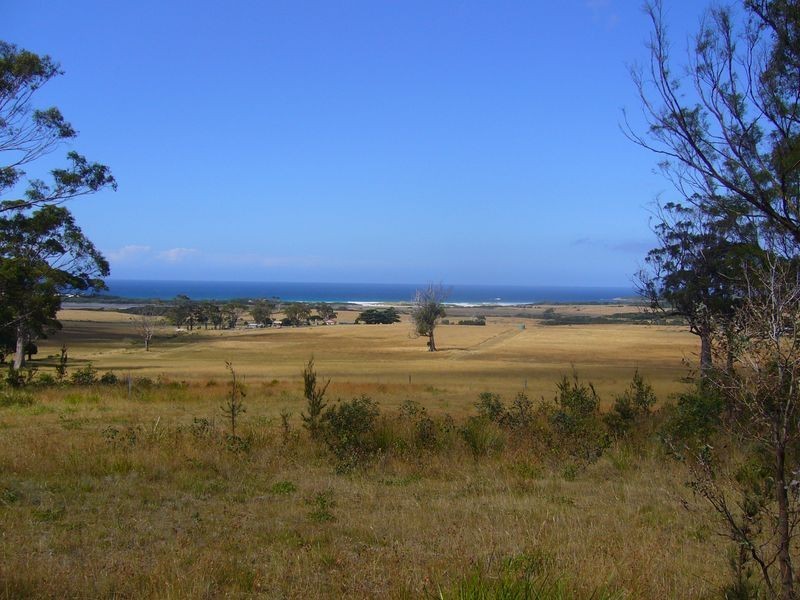 19595 Tasman Highway, Seymour TAS 7215