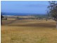 19595 Tasman Highway, Seymour TAS 7215