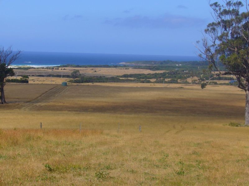 19595 Tasman Highway, Seymour TAS 7215