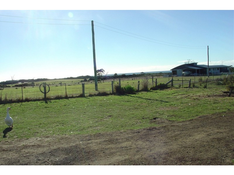 19558 Tasman Highway, Seymour TAS 7215