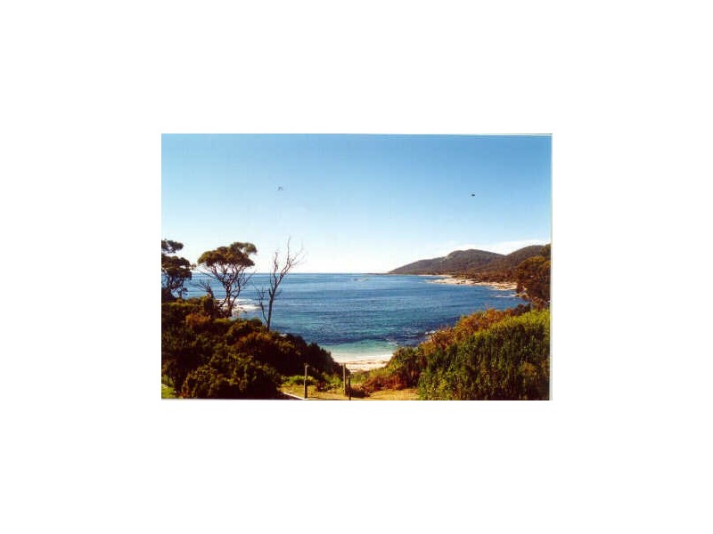 5/13 Weily Avenue, Bicheno TAS 7215