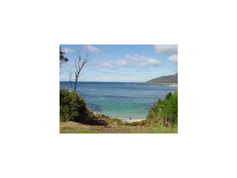 3/13 Weily Avenue, Bicheno TAS 7215