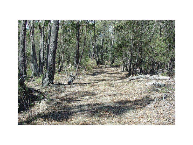 Lot 11 Suncoast Drive, Bicheno TAS 7215