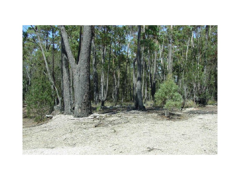 Lot 11 Suncoast Drive, Bicheno TAS 7215