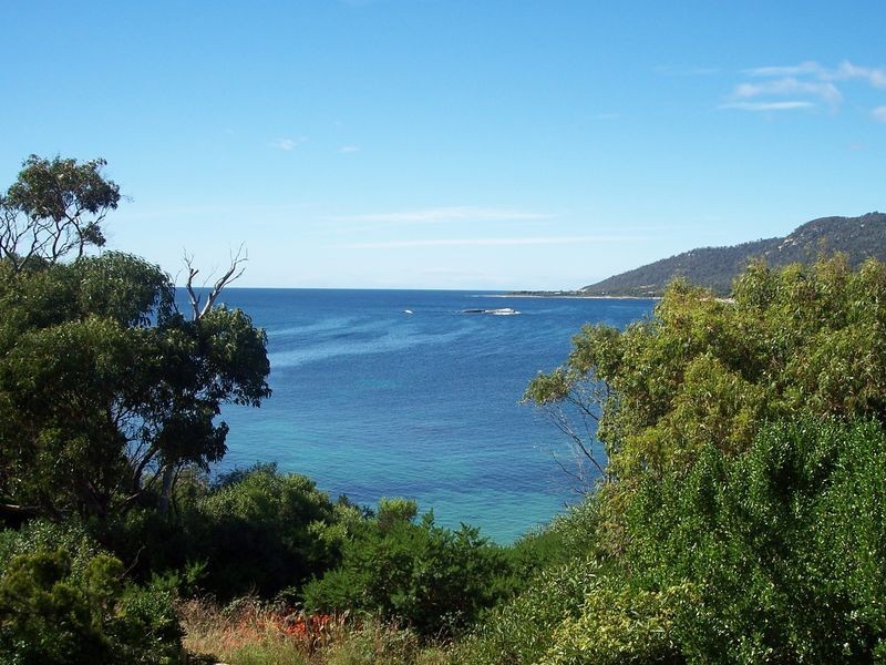 5/13 Weily  Avenue, Bicheno TAS 7215