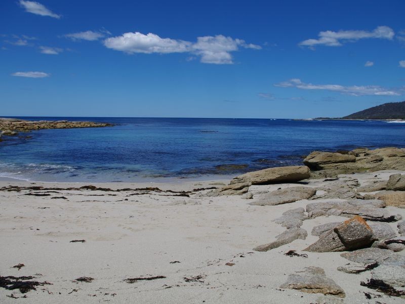 5/13 Weily  Avenue, Bicheno TAS 7215