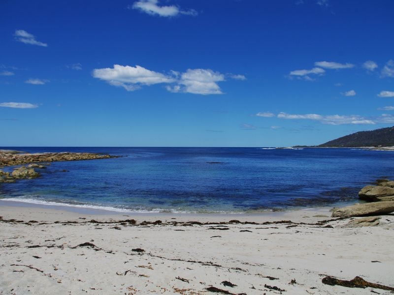 5/13 Weily  Avenue, Bicheno TAS 7215