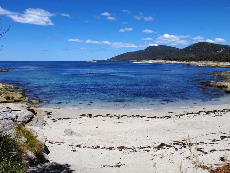 5/13 Weily  Avenue, Bicheno TAS 7215