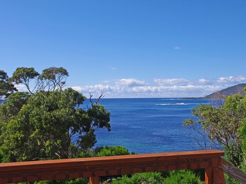 5/13 Weily  Avenue, Bicheno TAS 7215