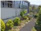 19457 Tasman Highway, Seymour TAS 7215