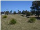 19457 Tasman Highway, Seymour TAS 7215