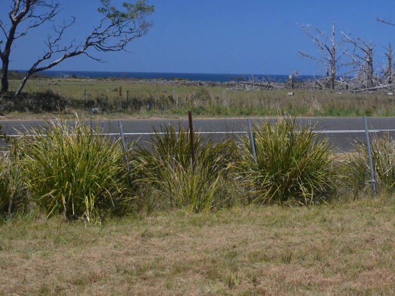 19457 Tasman Highway, Seymour TAS 7215