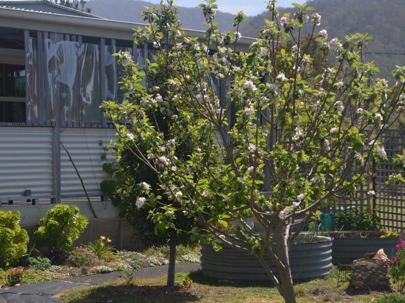 19457 Tasman Highway, Seymour TAS 7215
