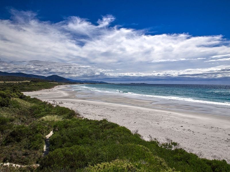18630 Tasman Highway, Bicheno TAS 7215