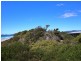 18630 Tasman Highway, Bicheno TAS 7215