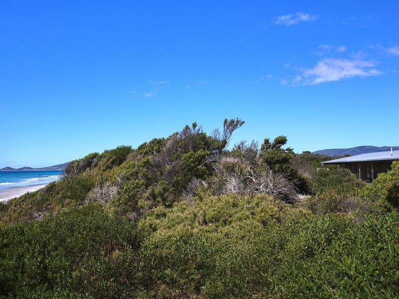 18630 Tasman Highway, Bicheno TAS 7215