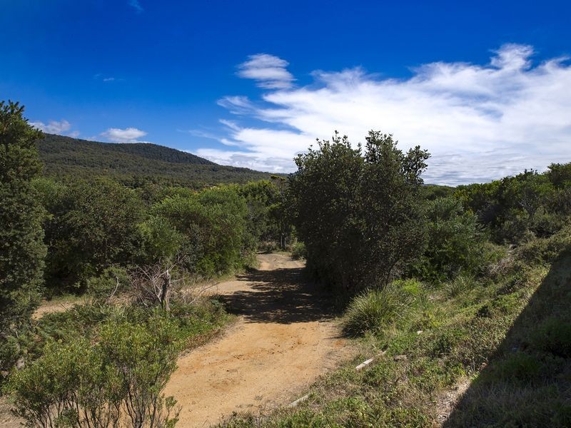 18630 Tasman Highway, Bicheno TAS 7215