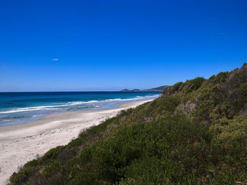 18630 Tasman Highway, Bicheno TAS 7215